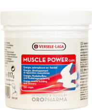 Muscle Power BCAA capsules (150 's)